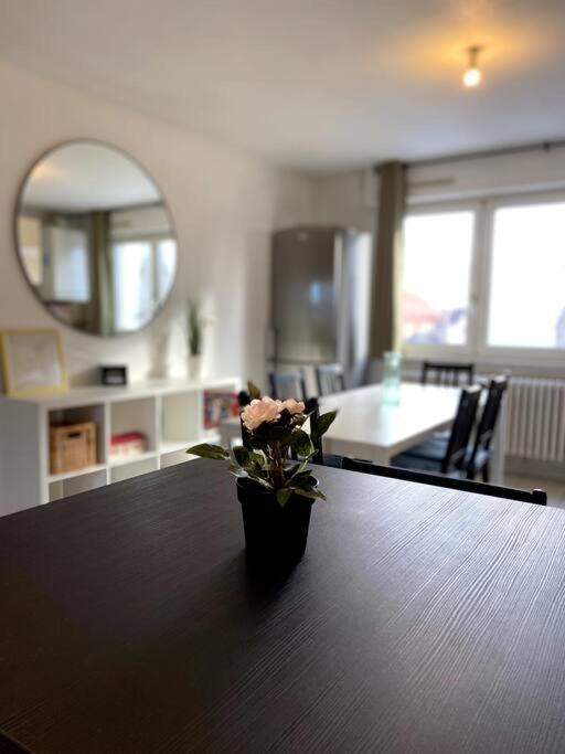 Ferienwohnung 10Min Bus Strasbourg Centre-Parking Prive-Wifi-Tv Bischheim Exterior foto